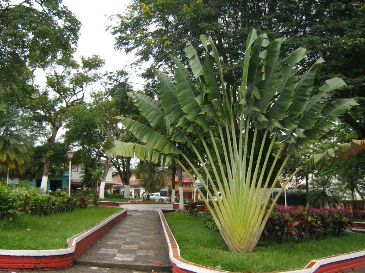 Hotel Casa Trujillo Norcasia Exterior photo